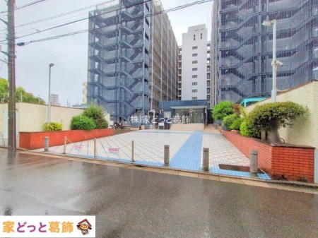 �G���g�����X �B�e��(2025-07-14 00:00:00)