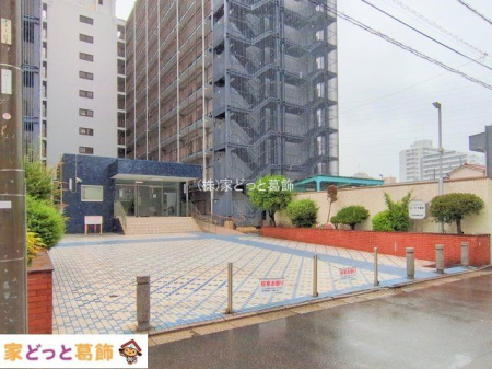 �G���g�����X �B�e��(2025-07-14 00:00:00)