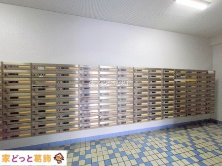 ���n�O�ώʐ^ �B�e��(2024-11-14 00:00:00)