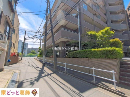 ���n�O�ώʐ^ �B�e��(2026-05-19 00:00:00)