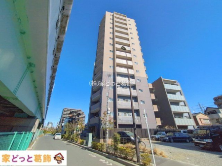 ���n�O�ώʐ^ �B�e��(2026-02-19 00:00:00)