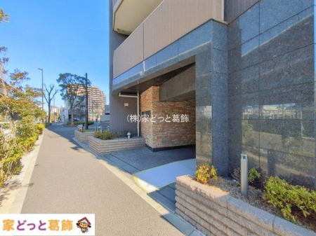 �G���g�����X �B�e��(2026-02-19 00:00:00)