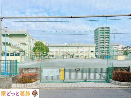 ���ӊ� �]�ː�旧��V�]��񏬊w�Z �B�e��(2023-01-19) 800m