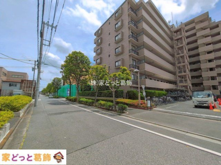 ���n�O�ώʐ^ �B�e��(2026-05-27 00:00:00)