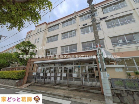 ���ӊ� �����旧�t���w�Z �B�e��(2025-05-02) 320m