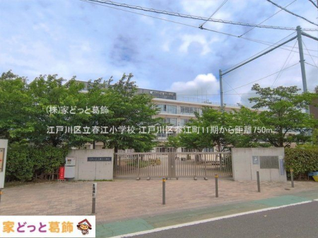 ���ӊ� �]�ː�旧�t�]���w�Z �B�e��(2026-05-28) 750m