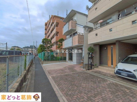 ���n�O�ώʐ^ �B�e��(2026-06-05)
