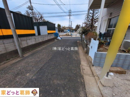 ���n�O�ώʐ^ �B�e��(2026-03-17 00:00:00)