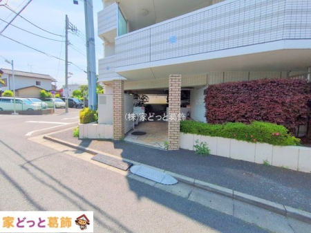 ���n�O�ώʐ^ �B�e��(2025-05-13 00:00:00)