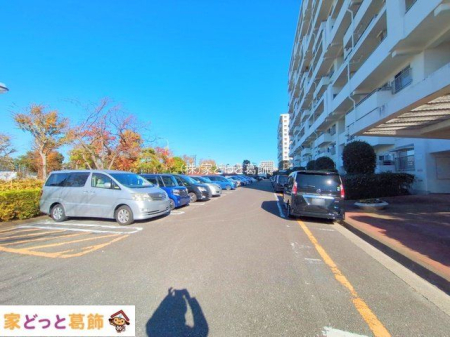 ���n�O�ώʐ^ �B�e��(2024-12-16 00:00:00)