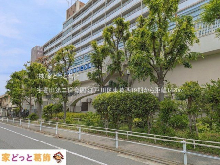 ���ӊ� �F��c���ۈ牀 �B�e��(2025-05-01) 1420m