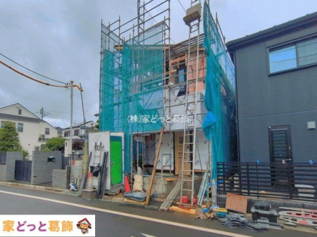 ���n�O�ώʐ^ �B�e��(2026-06-09)