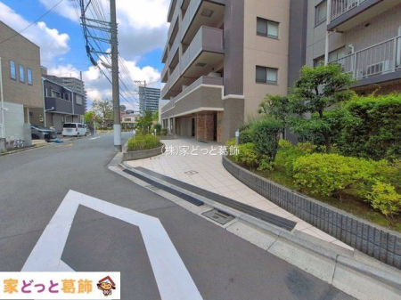 ���n�O�ώʐ^ �B�e��(2026-06-12 00:00:00)