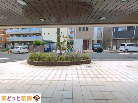 ���n�O�ώʐ^ �B�e��(2026-06-12 00:00:00)