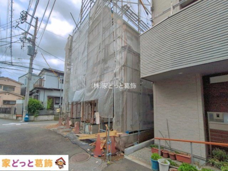 ���n�O�ώʐ^ �B�e��(2026-06-04)