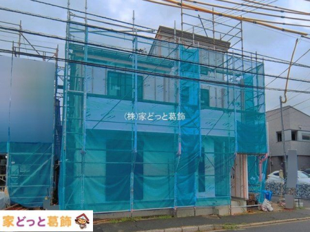 ���n�O�ώʐ^ �B�e��(2026-06-15)