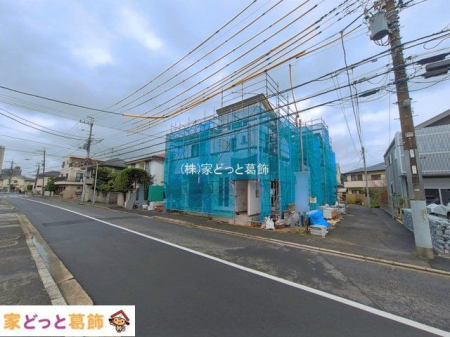 ���n�O�ώʐ^ �B�e��(2026-06-15)
