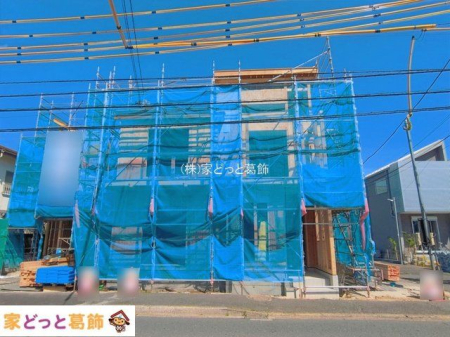 ���n�O�ώʐ^ �B�e��(2026-05-13 00:00:00)