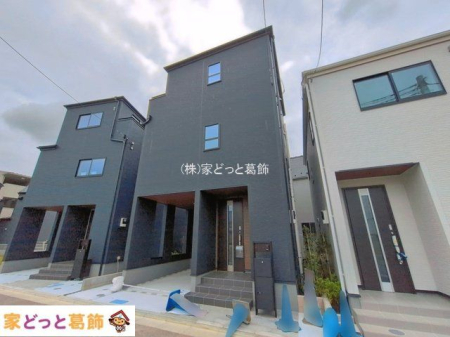 ���n�O�ώʐ^ �B�e��(2026-06-05)