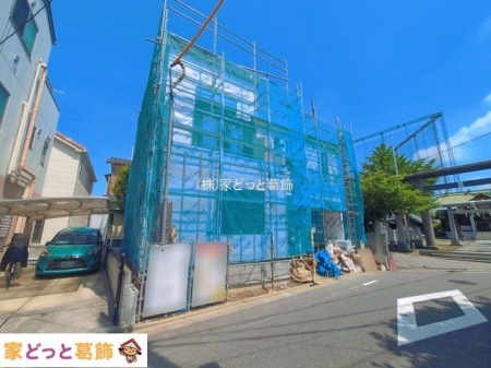 ���n�O�ώʐ^ �B�e��(2026-06-19)