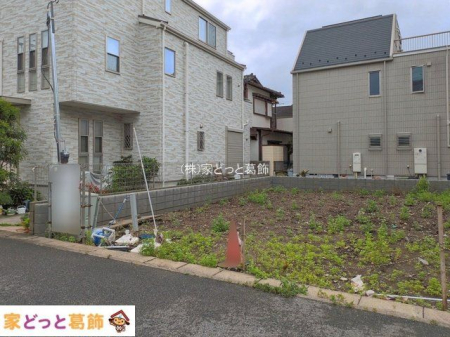 ���n�O�ώʐ^ �B�e��(2026-06-08)