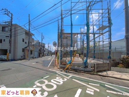 ���n�O�ώʐ^ �B�e��(2026-06-19)