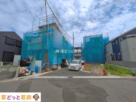 ���n�O�ώʐ^ �B�e��(2026-06-22)