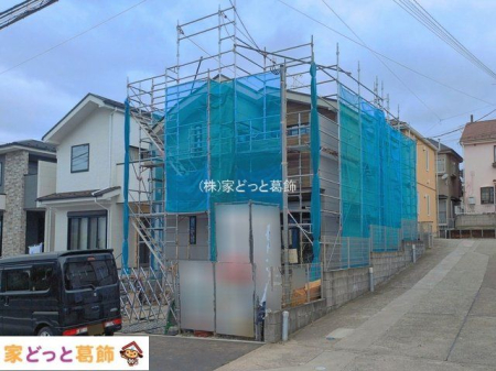 ���n�O�ώʐ^ �B�e��(2026-06-05 00:00:00)