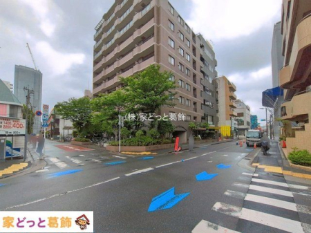 ���n�O�ώʐ^ �B�e��(2026-05-22 00:00:00)