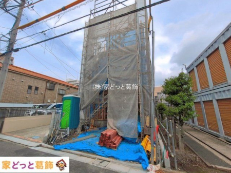 ���n�O�ώʐ^ �B�e��(2026-06-30)