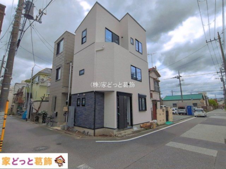 ���n�O�ώʐ^ �B�e��(2026-06-04 00:00:00)