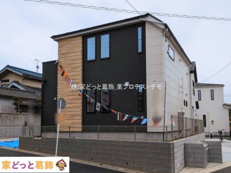 ���n�O�ώʐ^ �B�e��(2026-03-16)