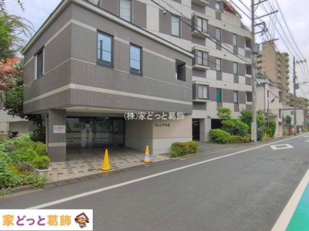 ���n�O�ώʐ^ �B�e��(2026-07-13 00:00:00)