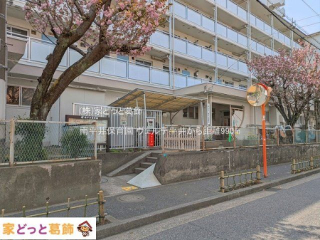 ���ӊ� �약��ۈ牀 �B�e��(2025-04-10) 990m