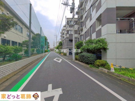 ���n�O�ώʐ^ �B�e��(2026-07-13 00:00:00)