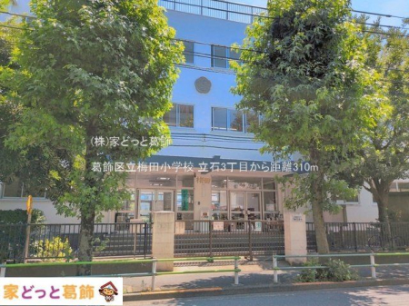 ���ӊ� �����旧�~�c���w�Z �B�e��(2026-07-10) 310m
