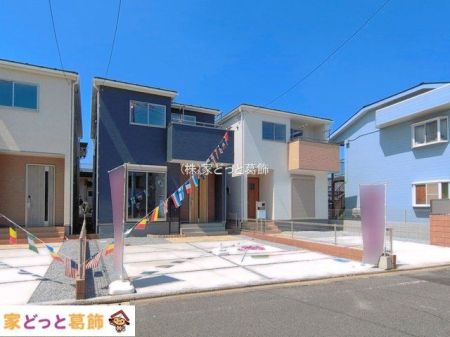 ���n�O�ώʐ^ �B�e��(2026-05-15 00:00:00)