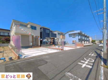 ���n�O�ώʐ^ �B�e��(2026-05-15 00:00:00)