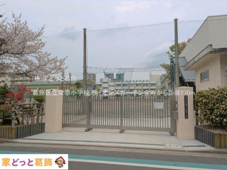 ���ӊ� �����旧�Č����w�Z �B�e��(2025-04-10) 270m