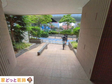 ���n�O�ώʐ^ �B�e��(2026-07-28 00:00:00)