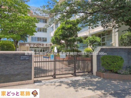 ���ӊ� �����旧�דc���w�Z �B�e��(2026-06-01) 500m