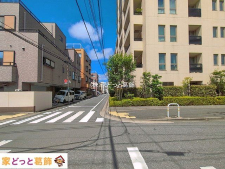 ���n�O�ώʐ^ �B�e��(2026-08-06 00:00:00)