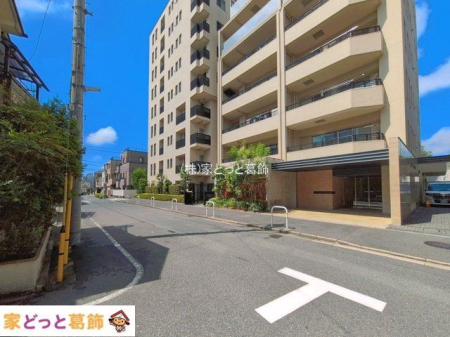 ���n�O�ώʐ^ �B�e��(2026-08-06 00:00:00)
