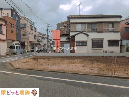 ���n�y�n�ʐ^ �B�e��(2026-08-03)