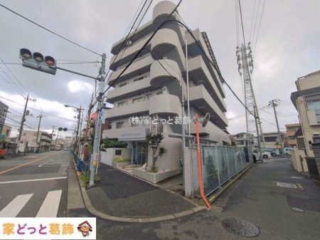 ���n�O�ώʐ^ �B�e��(2026-08-13)