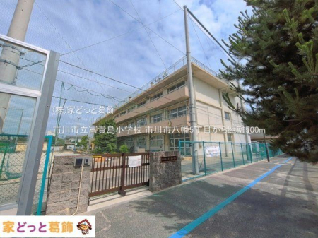 ���ӊ� �s��s���y�M�����w�Z �B�e��(2026-06-06) 500m