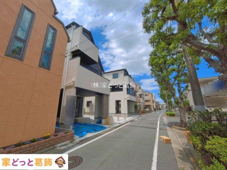 ���n�O�ώʐ^ �B�e��(2026-05-29 00:00:00)