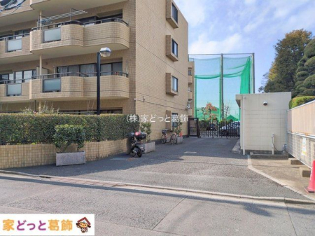 ���n�O�ώʐ^ �B�e��(2026-01-19 00:00:00)