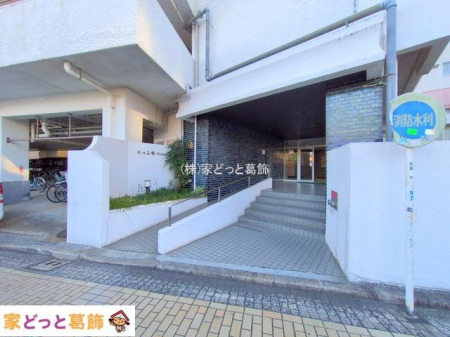 �G���g�����X �B�e��(2025-02-10)