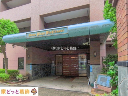 �G���g�����X �B�e��(2026-07-07)